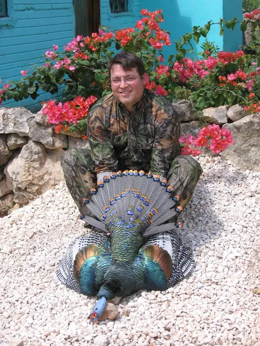 Ocellated Turkey Hunts — photograph from the Gunners Taxidermy gallery